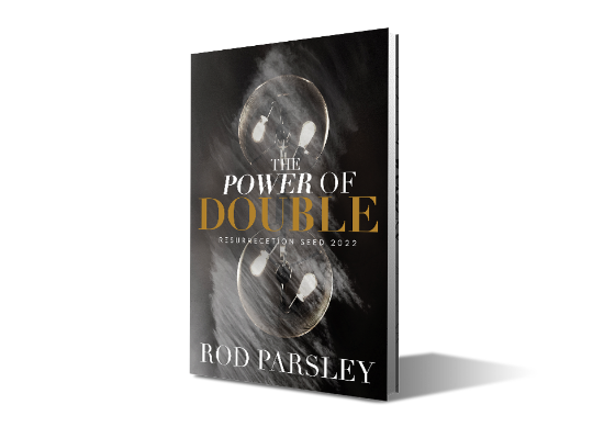 The Power of Double (book)